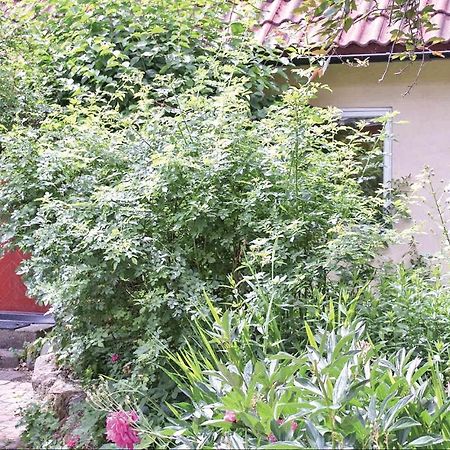 1 Bedroom Beautiful Home In トメリラ エクステリア 写真